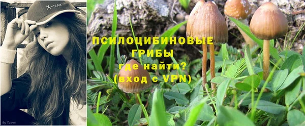 ALPHA-PVP Алексеевка