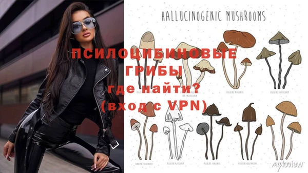 ALPHA-PVP Алексеевка