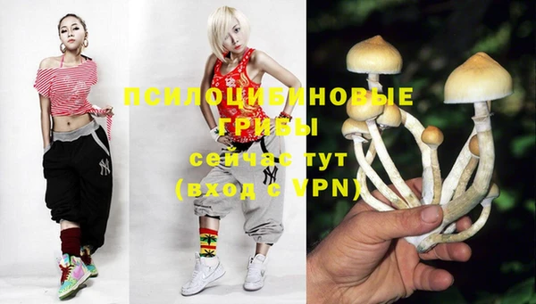ГАЛЛЮЦИНОГЕННЫЕ ГРИБЫ Алексин