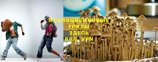 ГАЛЛЮЦИНОГЕННЫЕ ГРИБЫ Алексин