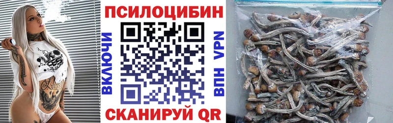 где купить   Шелехов  Галлюциногенные грибы Magic Shrooms 